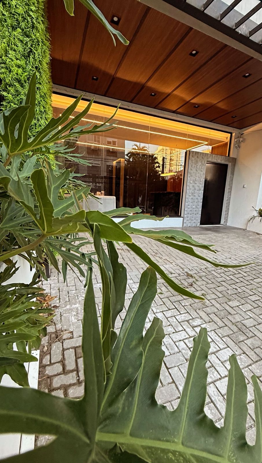 whatsapp image 2026 02 07 at 11.37.00